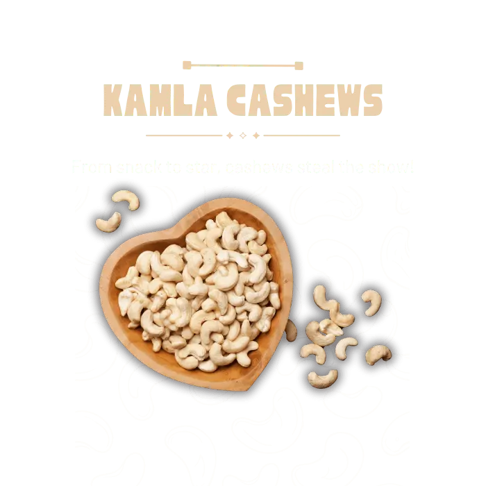 Trusted Cashew Suppliers in India – Kamla Cashews
